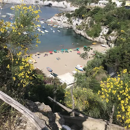 Apartment La Caletta - Immobilevante Ponza